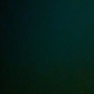 Meet your Posher, Maddy